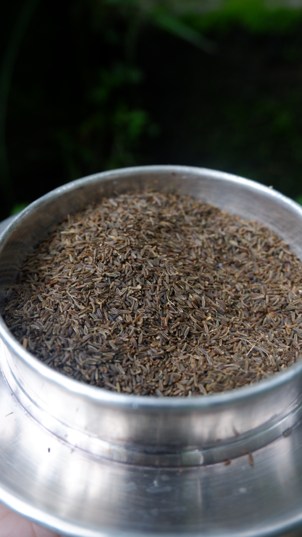organic black cumin organic black cumin