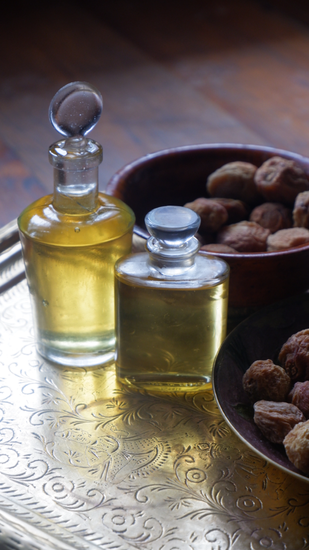buy apricot oil buy apricot oil
